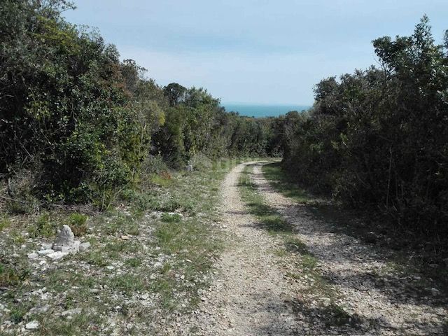 ISTRIA, RAKALJ - Atterrare sulla schiuma del mare 