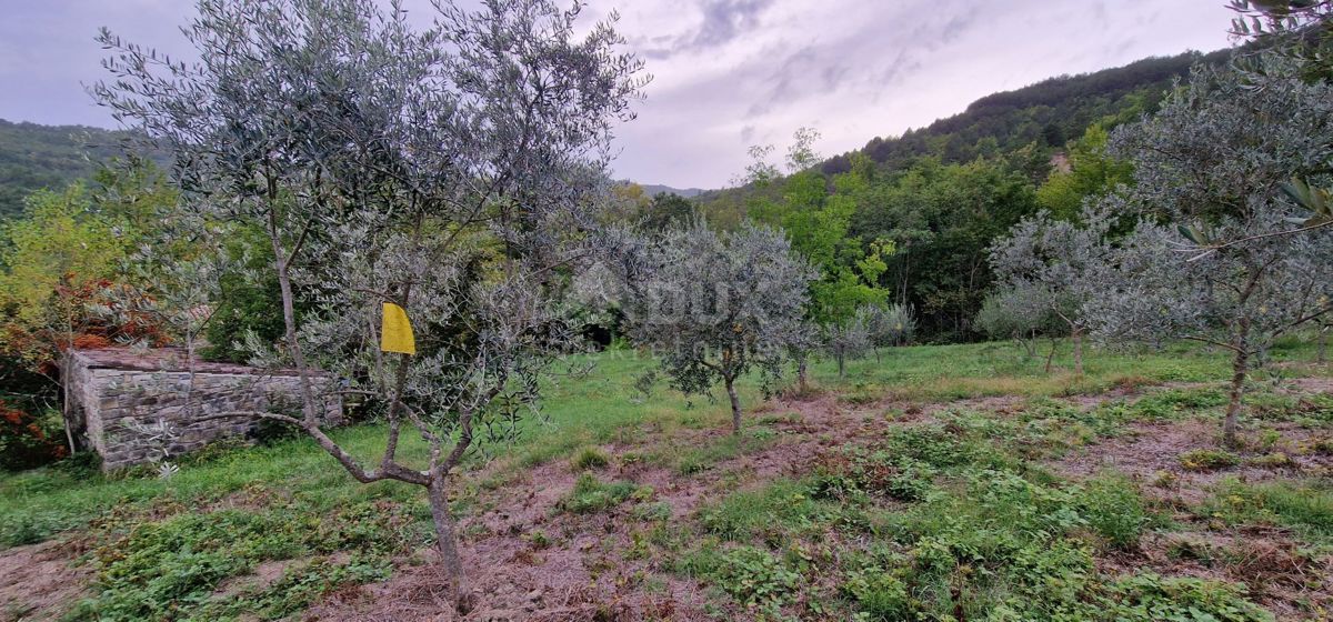 ISTRIA, GRAČIŠĆE - Edifici in pietra con ampio terreno appartato