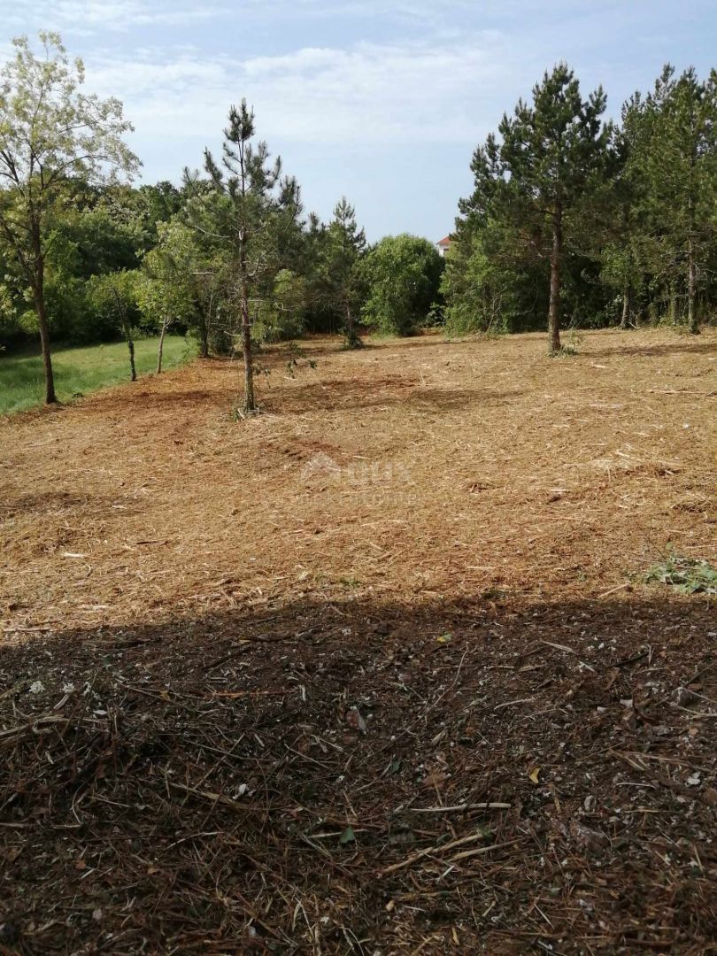 ISTRIA, DINTORNI DI LABINA - Terreno edificabile in contesto tranquillo