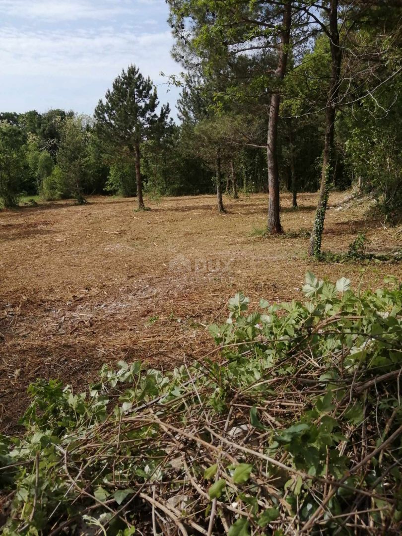 ISTRIA, DINTORNI DI LABINA - Terreno edificabile in contesto tranquillo