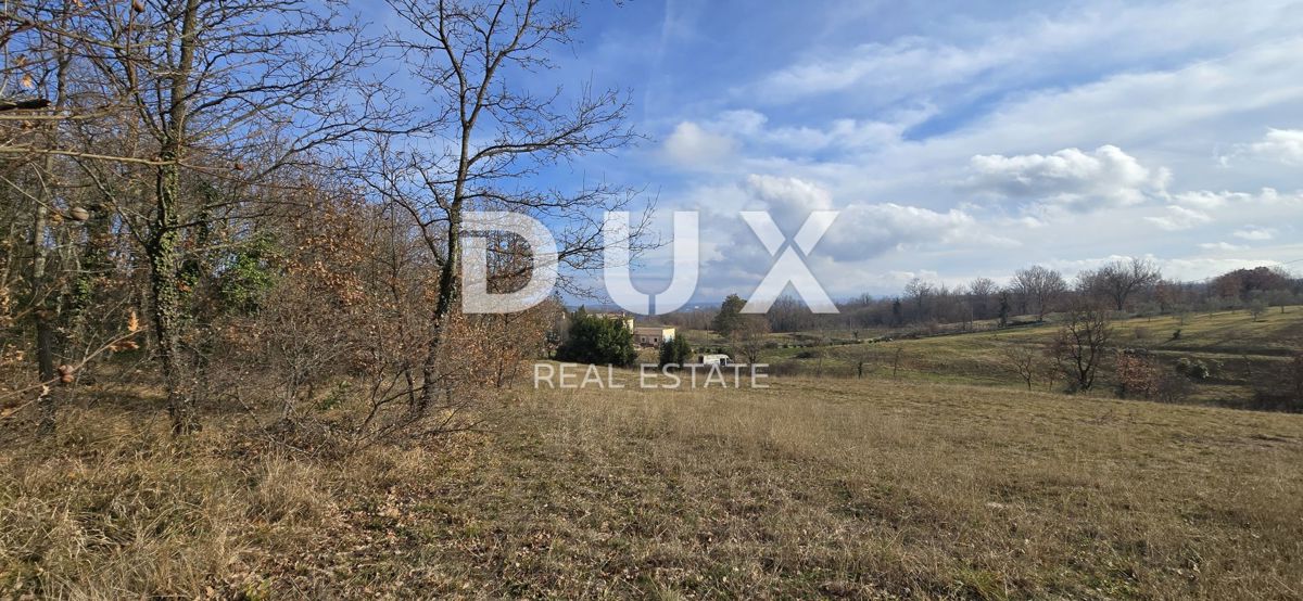 ISTRIA, PIĆAN - 1600 m2 di terreno edificabile + 2100 m2 di terreno agricolo