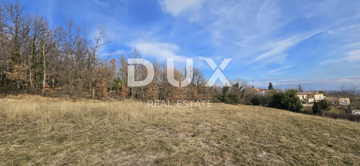ISTRIA, PIĆAN - 1600 m2 di terreno edificabile + 2100 m2 di terreno agricolo