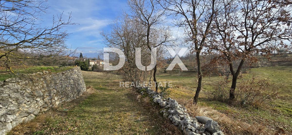 ISTRIA, PIĆAN - 1600 m2 di terreno edificabile + 2100 m2 di terreno agricolo
