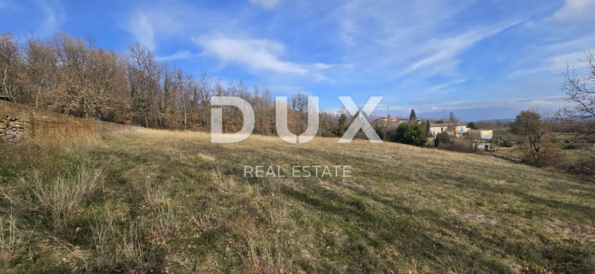 ISTRIA, PIĆAN - 1600 m2 di terreno edificabile + 2100 m2 di terreno agricolo