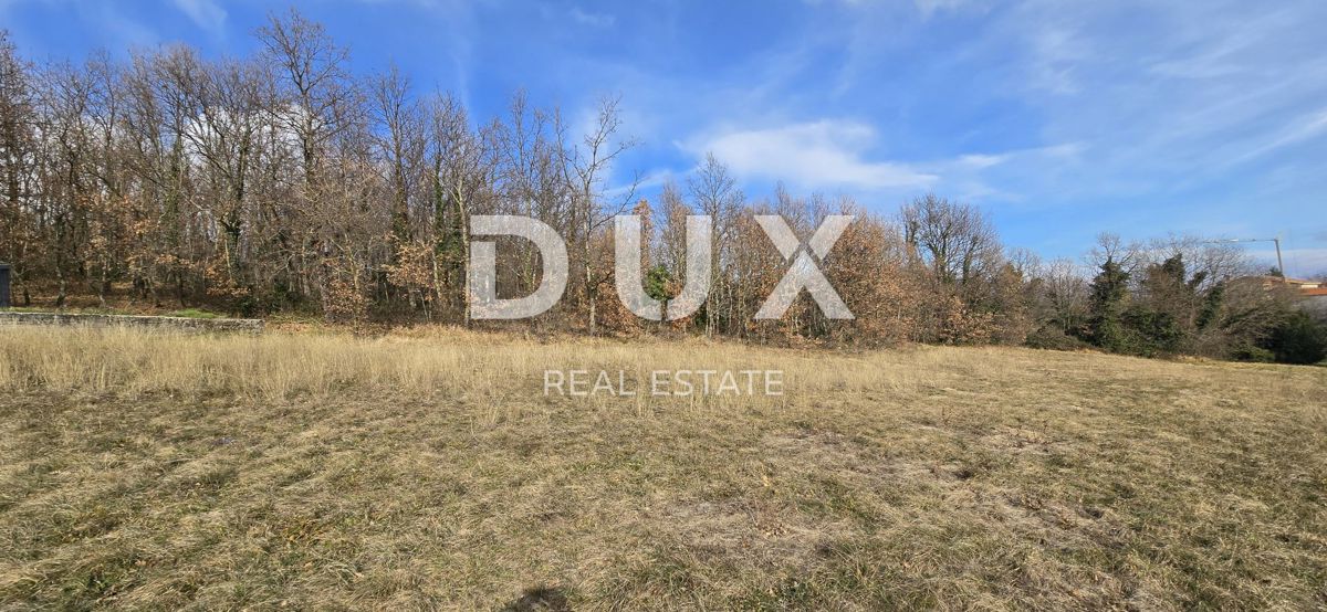 ISTRIA, PIĆAN - 1600 m2 di terreno edificabile + 2100 m2 di terreno agricolo