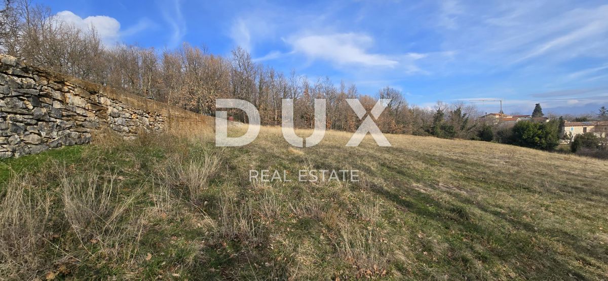 ISTRIA, PIĆAN - 1600 m2 di terreno edificabile + 2100 m2 di terreno agricolo