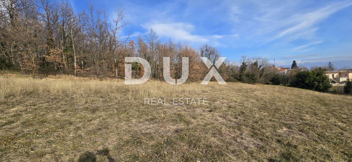 ISTRIA, PIĆAN - 1600 m2 di terreno edificabile + 2100 m2 di terreno agricolo