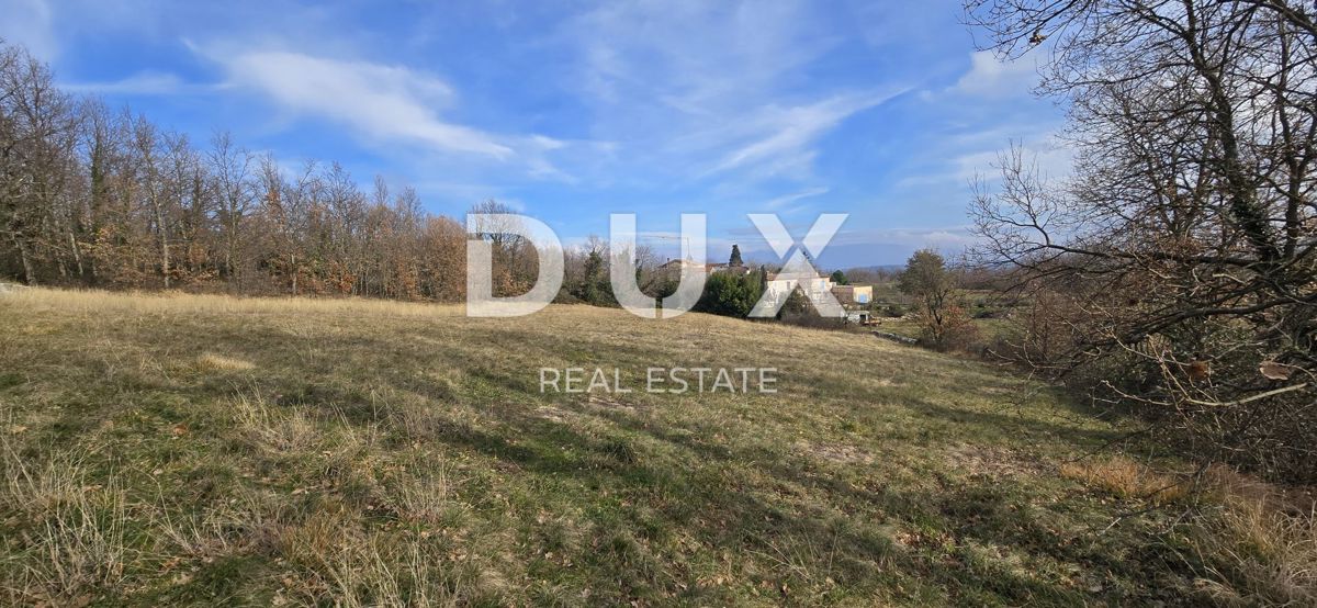 ISTRIA, PIĆAN - 1600 m2 di terreno edificabile + 2100 m2 di terreno agricolo