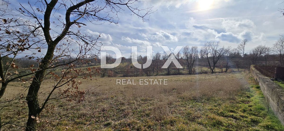 ISTRIA, PIĆAN - 1600 m2 di terreno edificabile + 2100 m2 di terreno agricolo