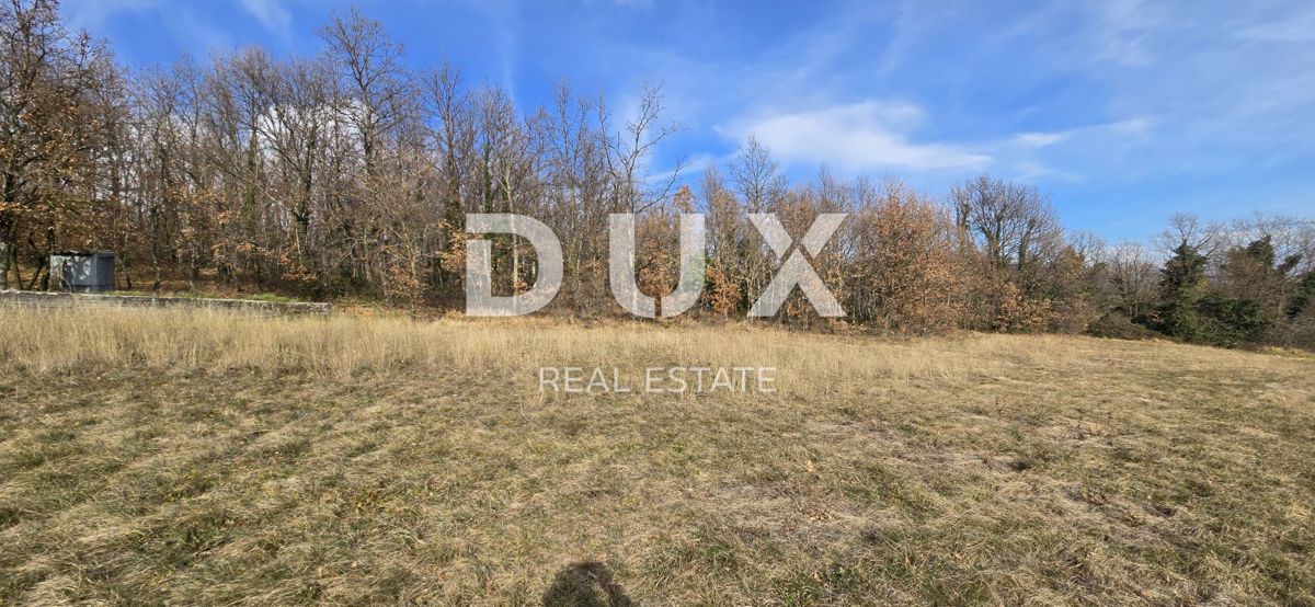 ISTRIA, PIĆAN - 1600 m2 di terreno edificabile + 2100 m2 di terreno agricolo