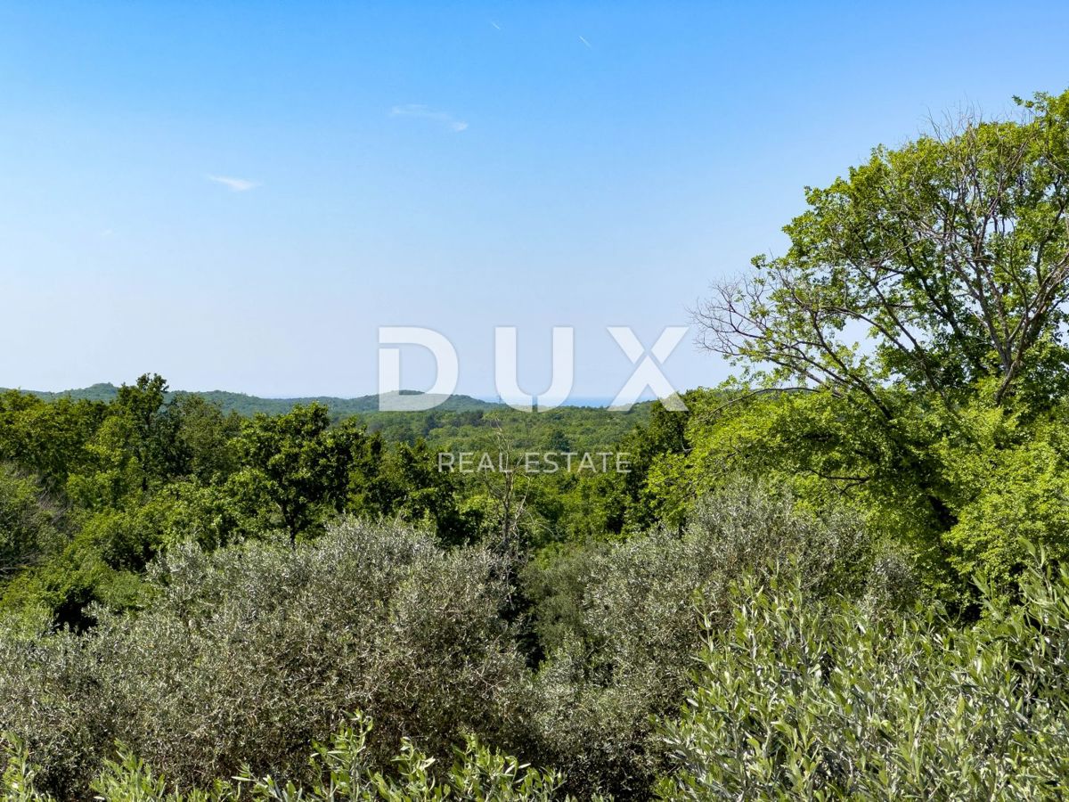 ISTRIA, PARENZO - Esclusiva villa di design per famiglie con oasi benessere e piscina riscaldata