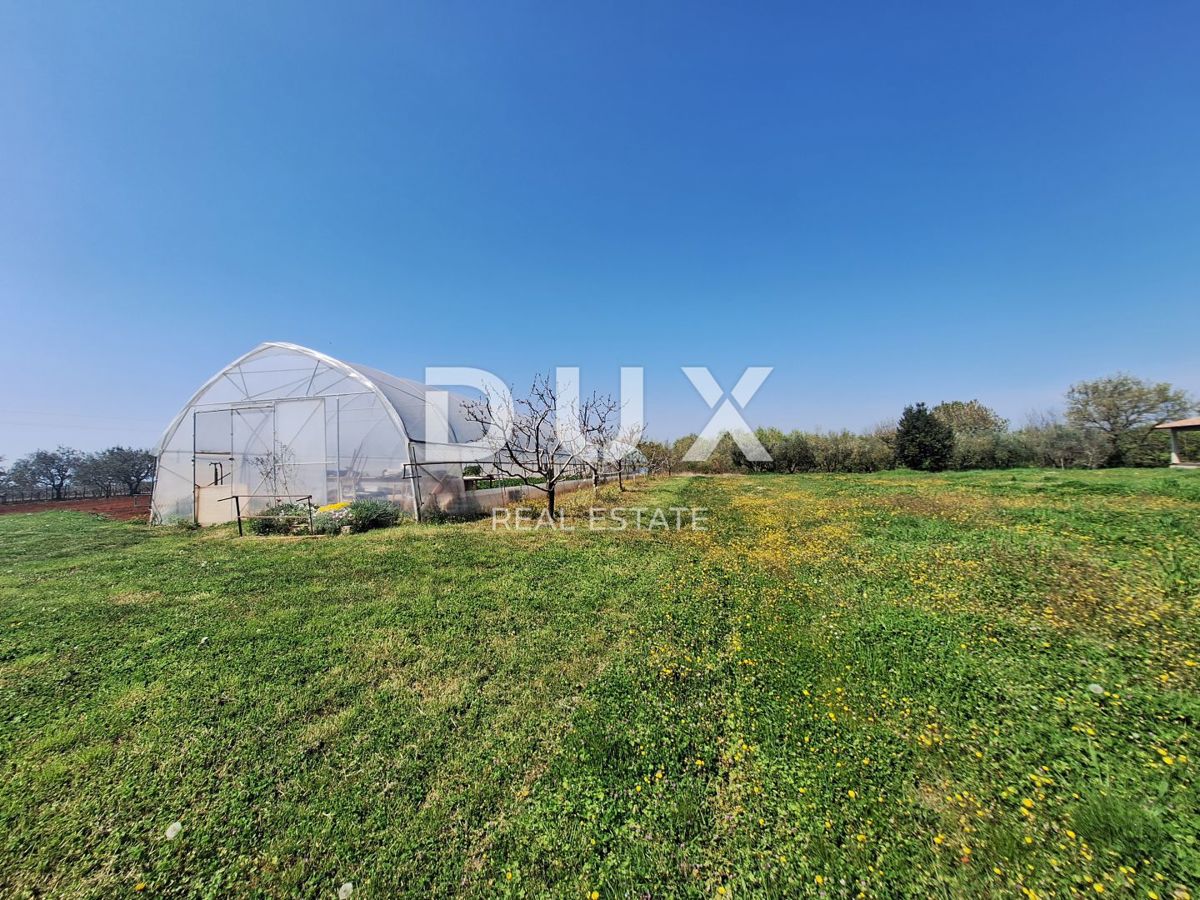ISTRIA, PARENZO (dintorni) - Terreno edificabile con vista mare