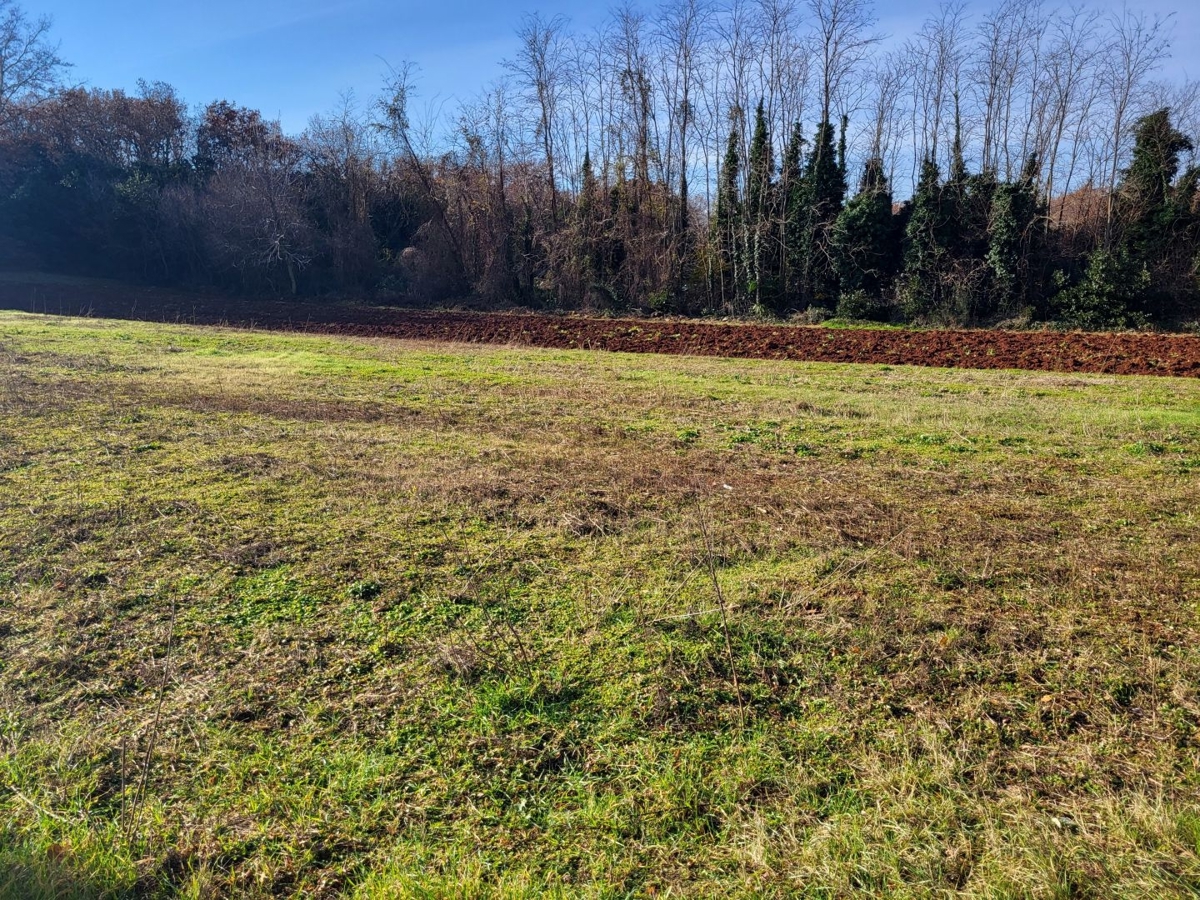 ISTRIA, UMAGO - Terreno edificabile in posizione ambita