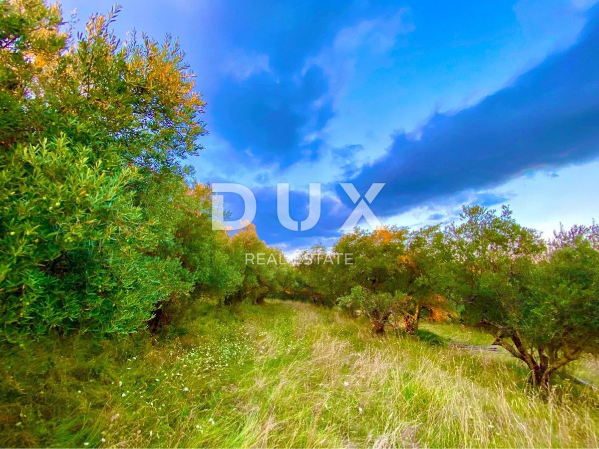 ISTRIA, DRAGUĆ - due case + 3.265 m2 di terreno edificabile con 6 case progettate! OPPORTUNITÀ!