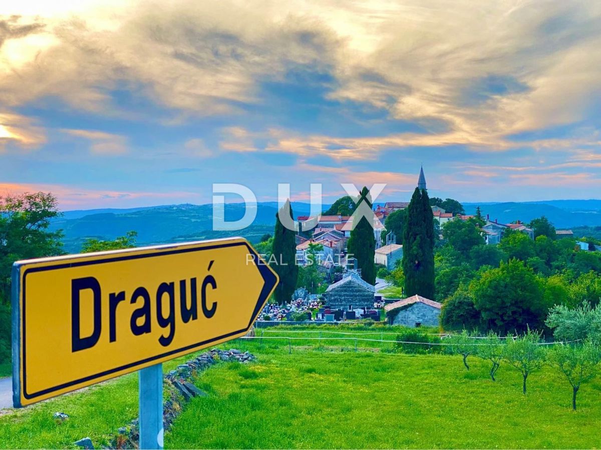ISTRIA, DRAGUĆ - due case + 3.265 m2 di terreno edificabile con 6 case progettate! OPPORTUNITÀ!