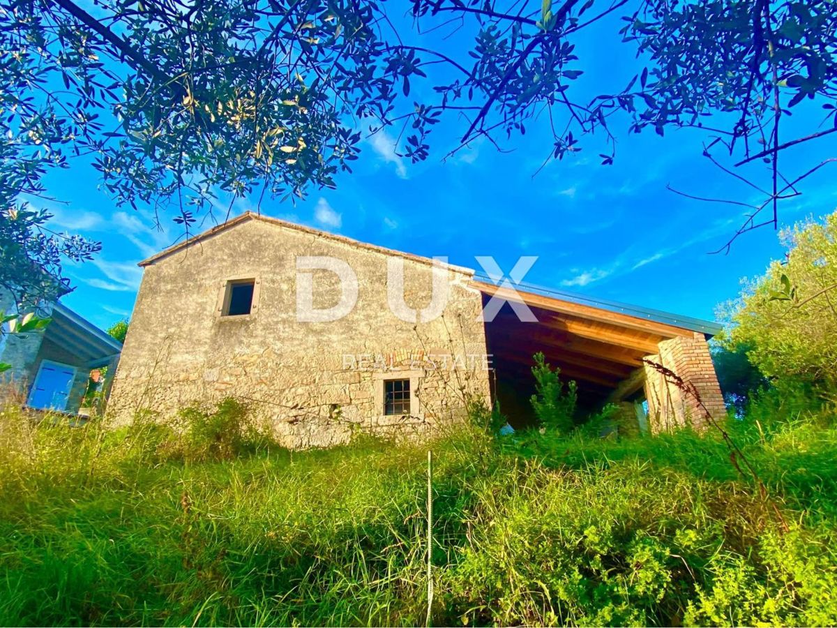 ISTRIA, DRAGUĆ - due case + 3.265 m2 di terreno edificabile con 6 case progettate! OPPORTUNITÀ!