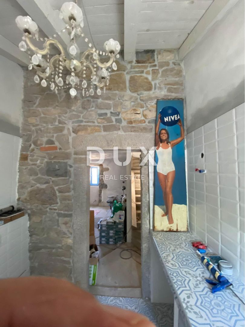 ISTRIA, DRAGUĆ - due case + 3.265 m2 di terreno edificabile con 6 case progettate! OPPORTUNITÀ!