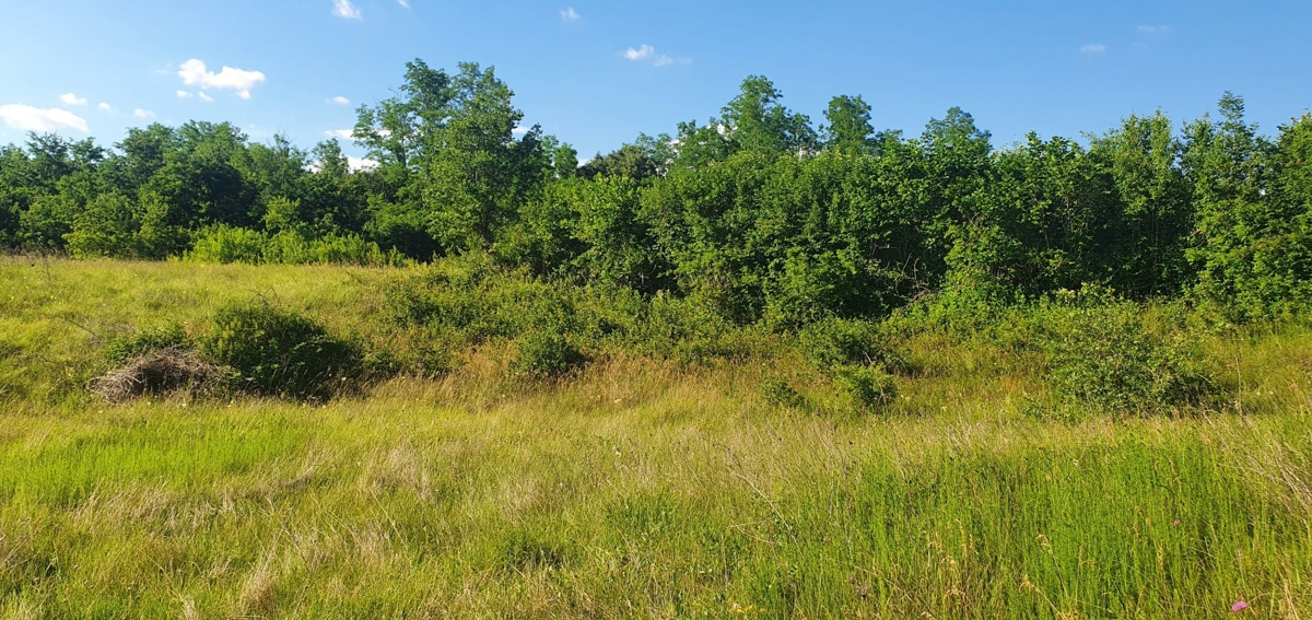 ISTRIA, LABIN - Terreno con permesso di costruzione, l'ultimo dell'insediamento