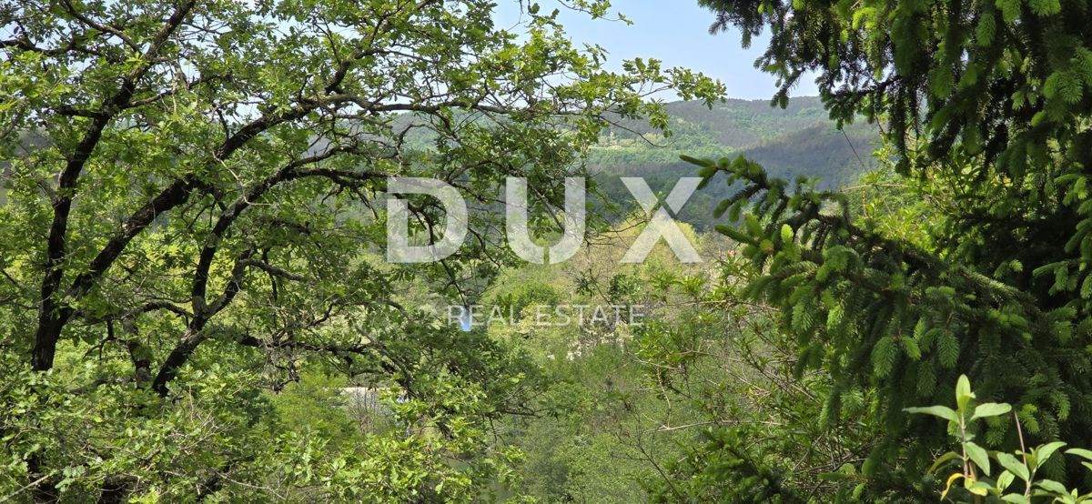 ISTRIA, PAZIN - Casa familiare immersa nella natura con un giardino curato, vista sul verde