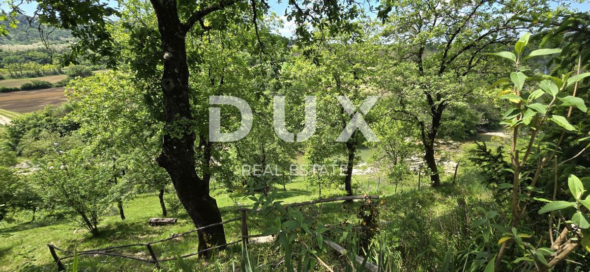 ISTRIA, PAZIN - Casa familiare immersa nella natura con un giardino curato, vista sul verde