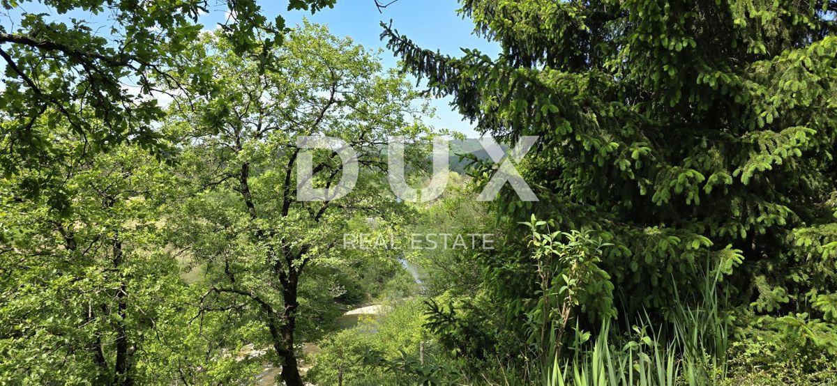 ISTRIA, PAZIN - Casa familiare immersa nella natura con un giardino curato, vista sul verde