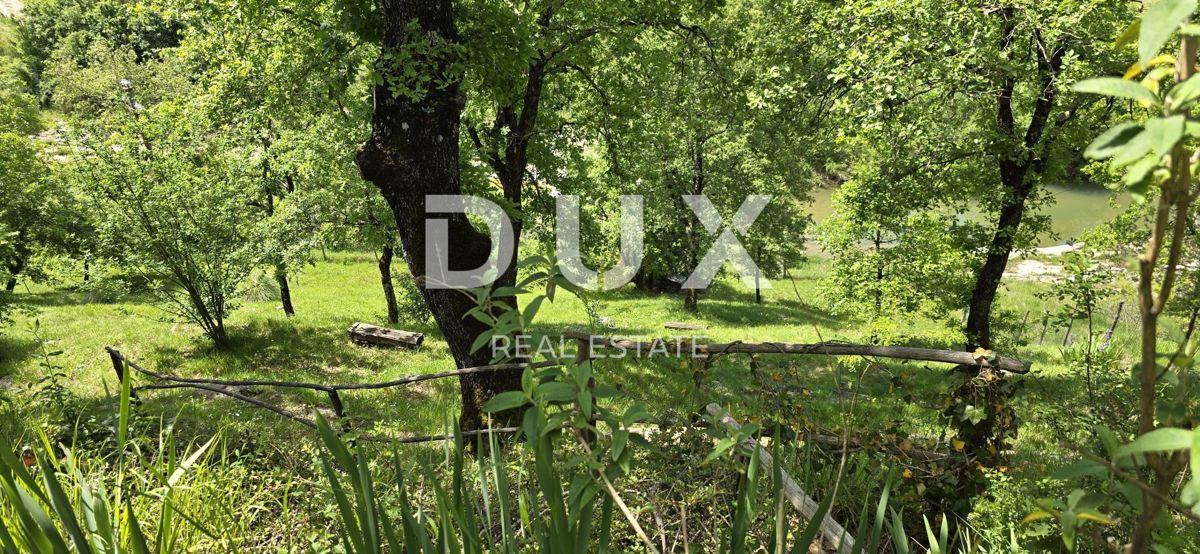ISTRIA, PAZIN - Casa familiare immersa nella natura con un giardino curato, vista sul verde