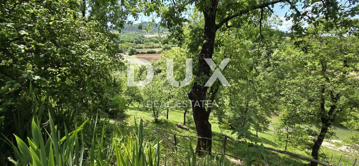 ISTRIA, PAZIN - Casa familiare immersa nella natura con un giardino curato, vista sul verde