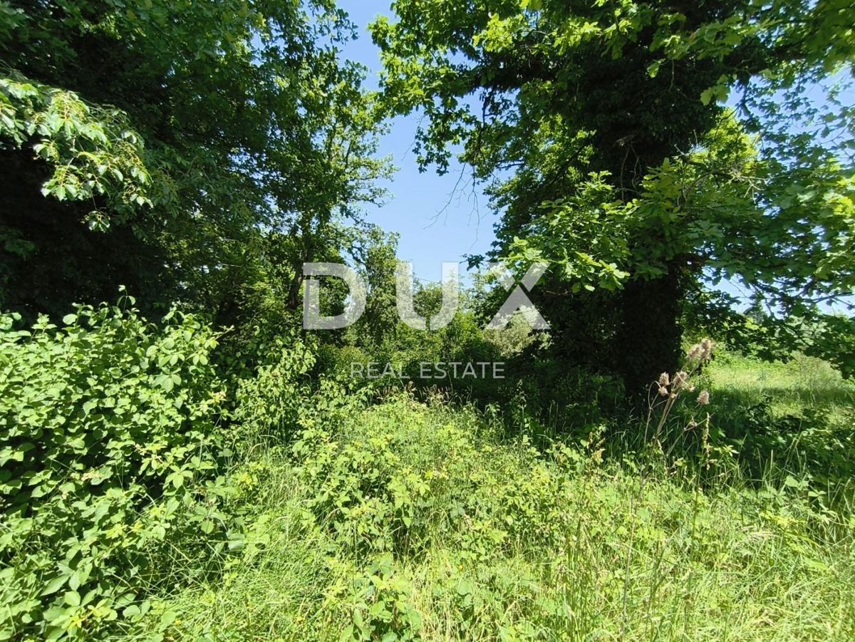 ZAGREBAČKA, JASTREBARSKO - Opportunità! Casa nella posizione più bella, progetto da sogno