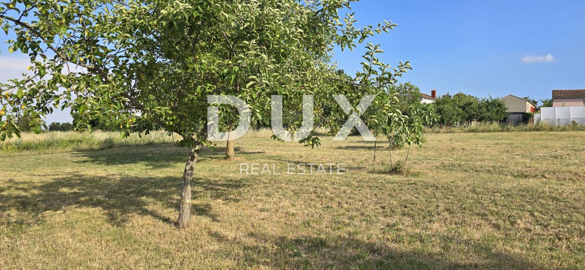 ISTRIA, BARBAN - Casa nel cuore dell'Istria con vista, privacy e potenziale