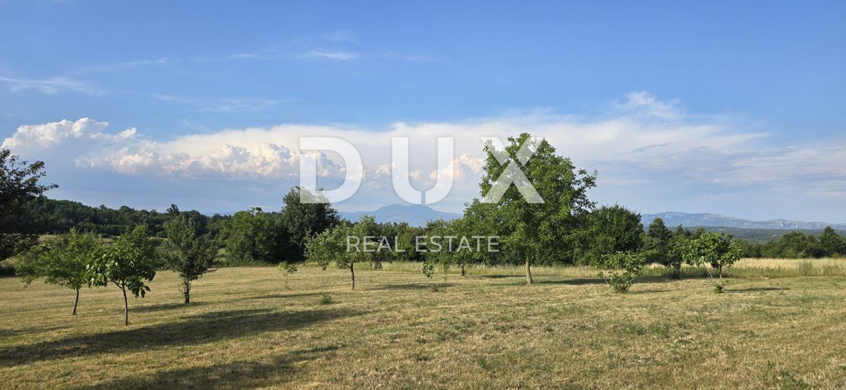 ISTRIA, BARBAN - Casa nel cuore dell'Istria con vista, privacy e potenziale
