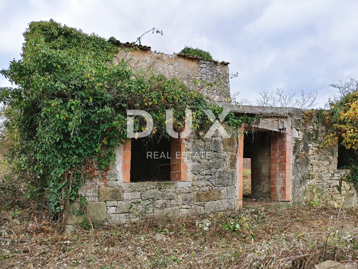 ISTRIA, VIŽINADA - Ampio terreno con permesso di costruire e progetto preliminare