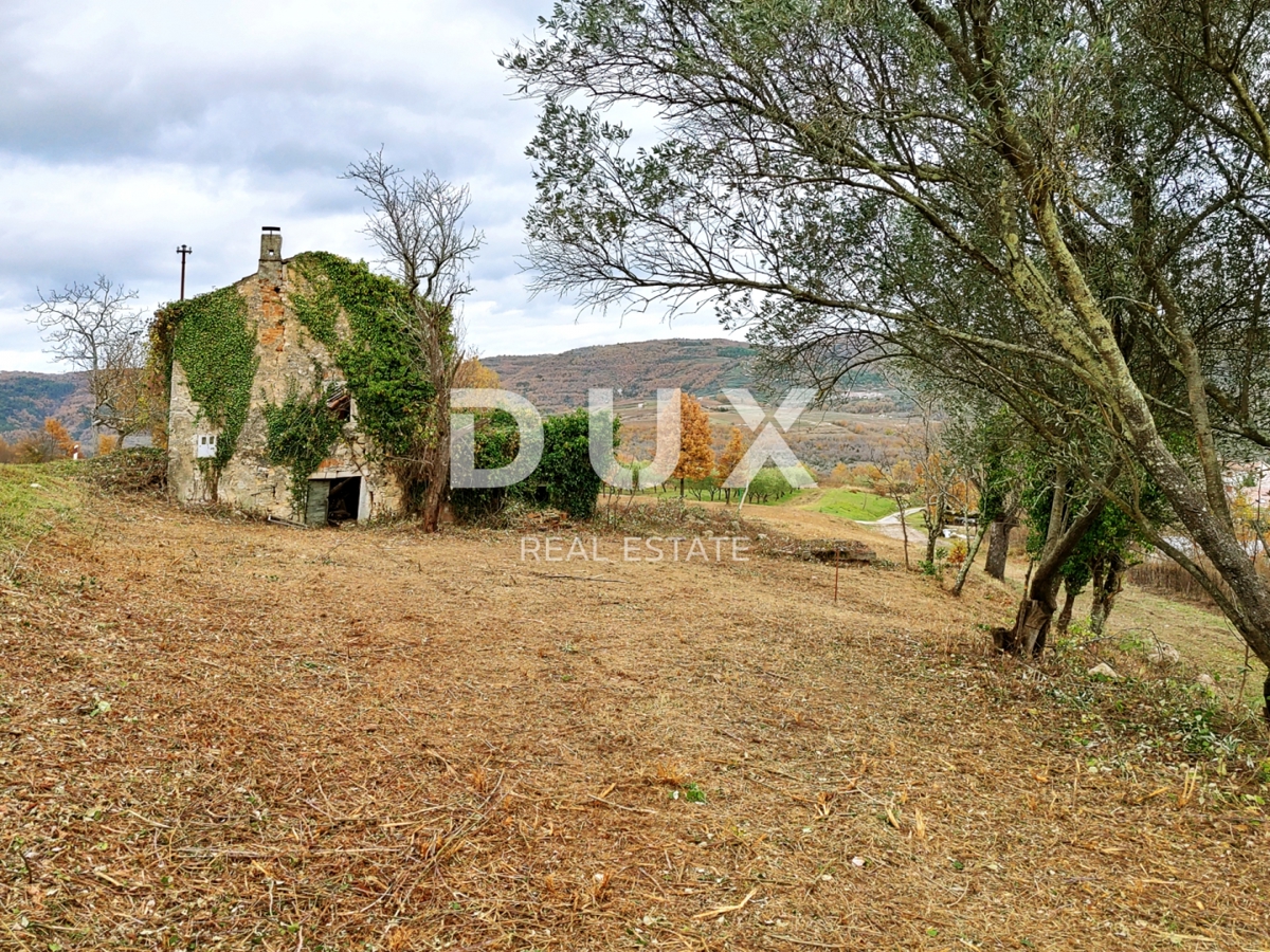 ISTRIA, VIŽINADA - Ampio terreno con permesso di costruire e progetto preliminare