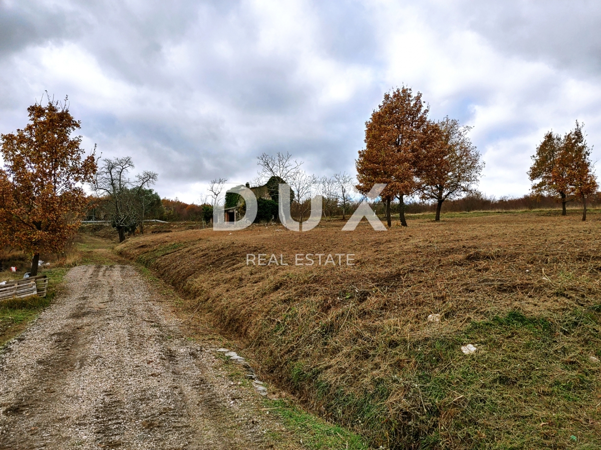 ISTRIA, VIŽINADA - Ampio terreno con permesso di costruire e progetto preliminare