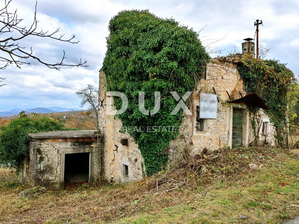 ISTRIA, VIŽINADA - Ampio terreno con permesso di costruire e progetto preliminare