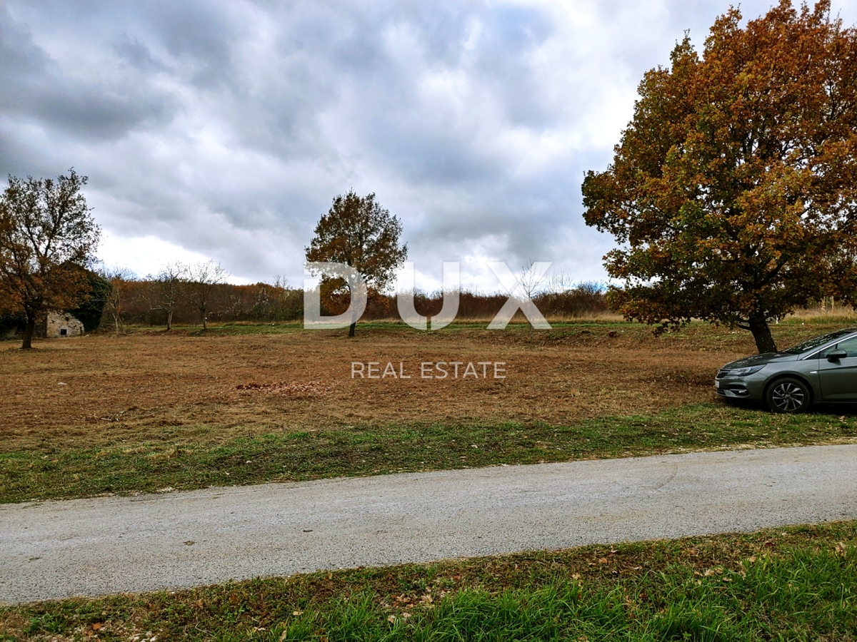 ISTRIA, VIŽINADA - Ampio terreno con permesso di costruire e progetto preliminare
