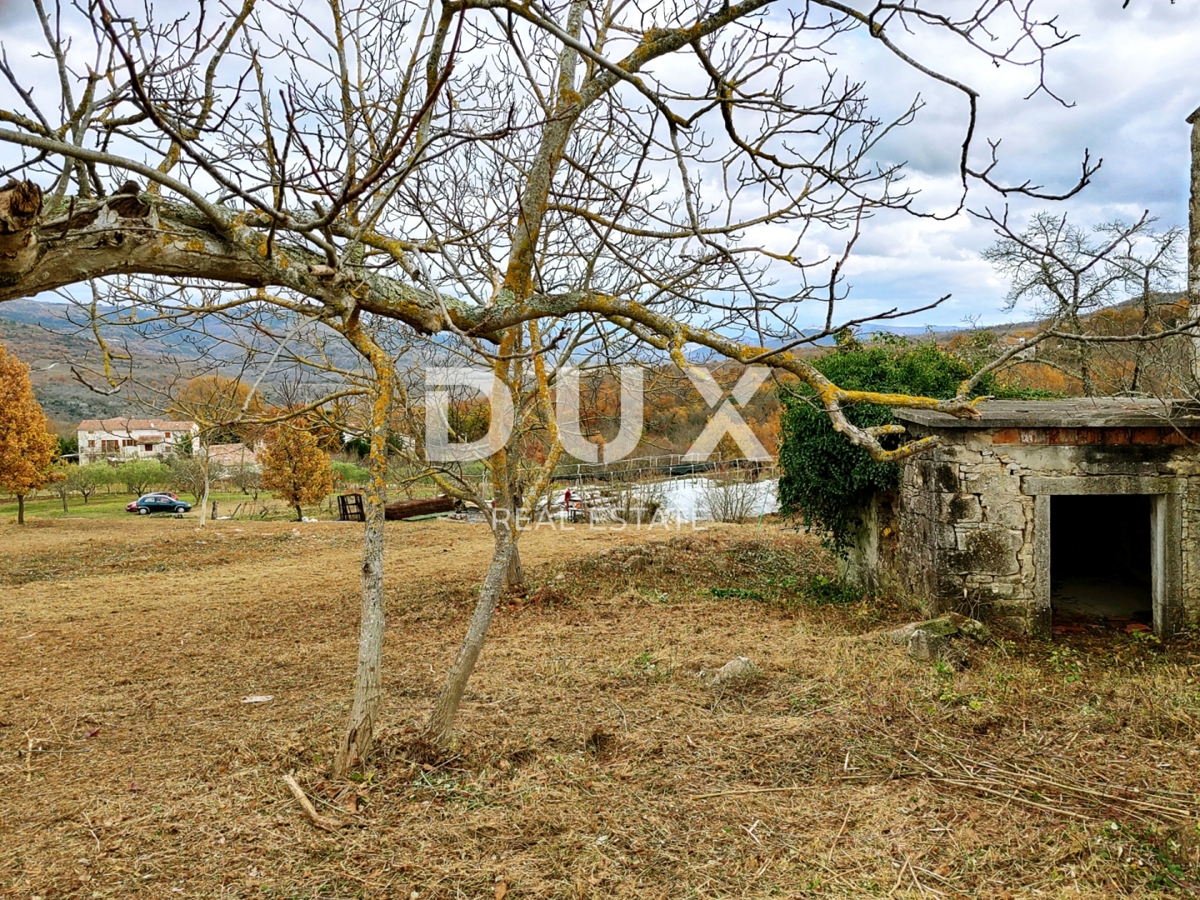 ISTRIA, VIŽINADA - Ampio terreno con permesso di costruire e progetto preliminare