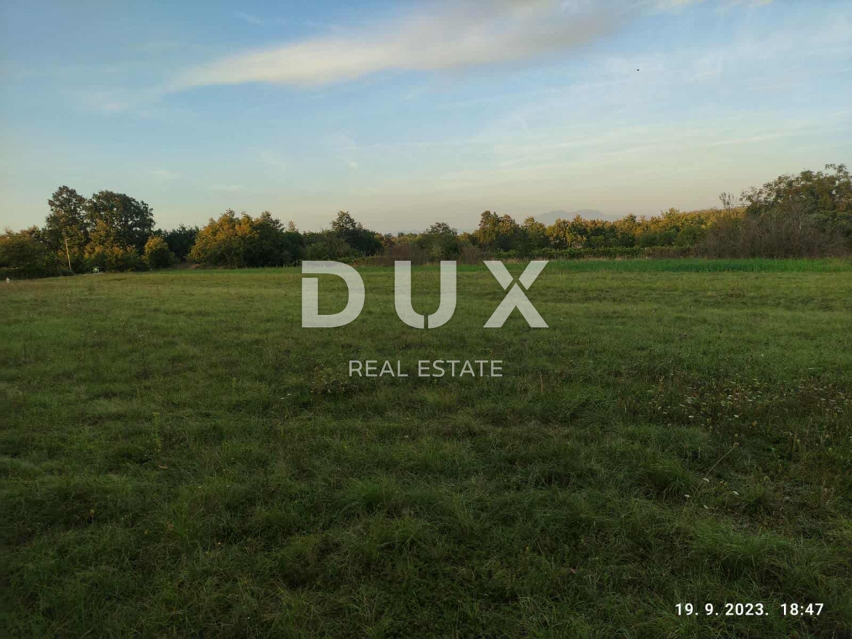 ISTRIA, ŽMINJ - Ampio terreno edificabile a Žminj - 2737 m² di tranquillità, spazio e potenziale! 