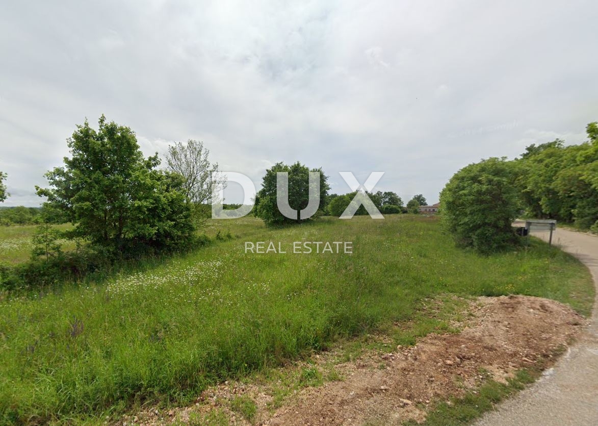 ISTRIA, ŽMINJ - Ampio terreno edificabile a Žminj - 2737 m² di tranquillità, spazio e potenziale! 