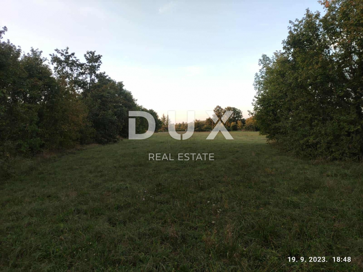 ISTRIA, ŽMINJ - Ampio terreno edificabile a Žminj - 2737 m² di tranquillità, spazio e potenziale! 