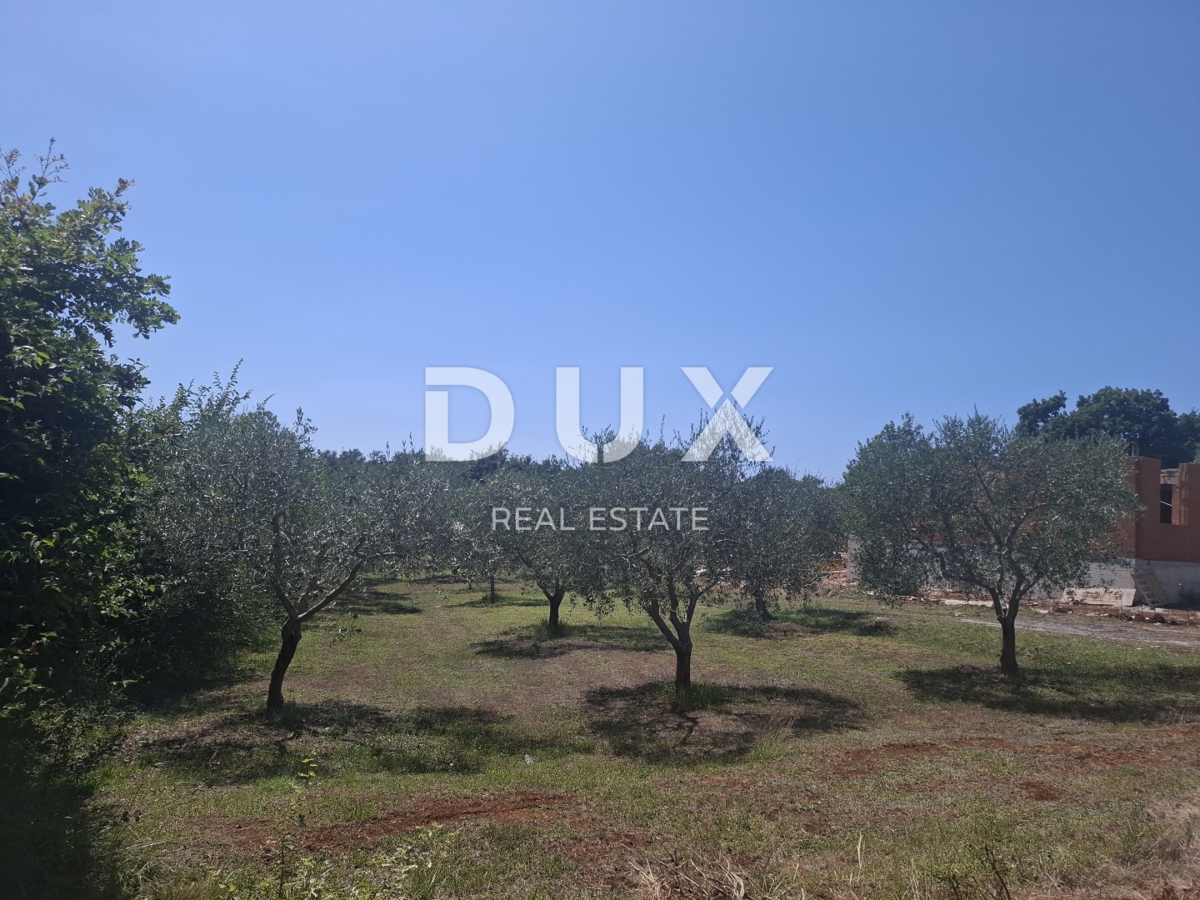 ISTRIA, FILIPPINE - terreno edificabile