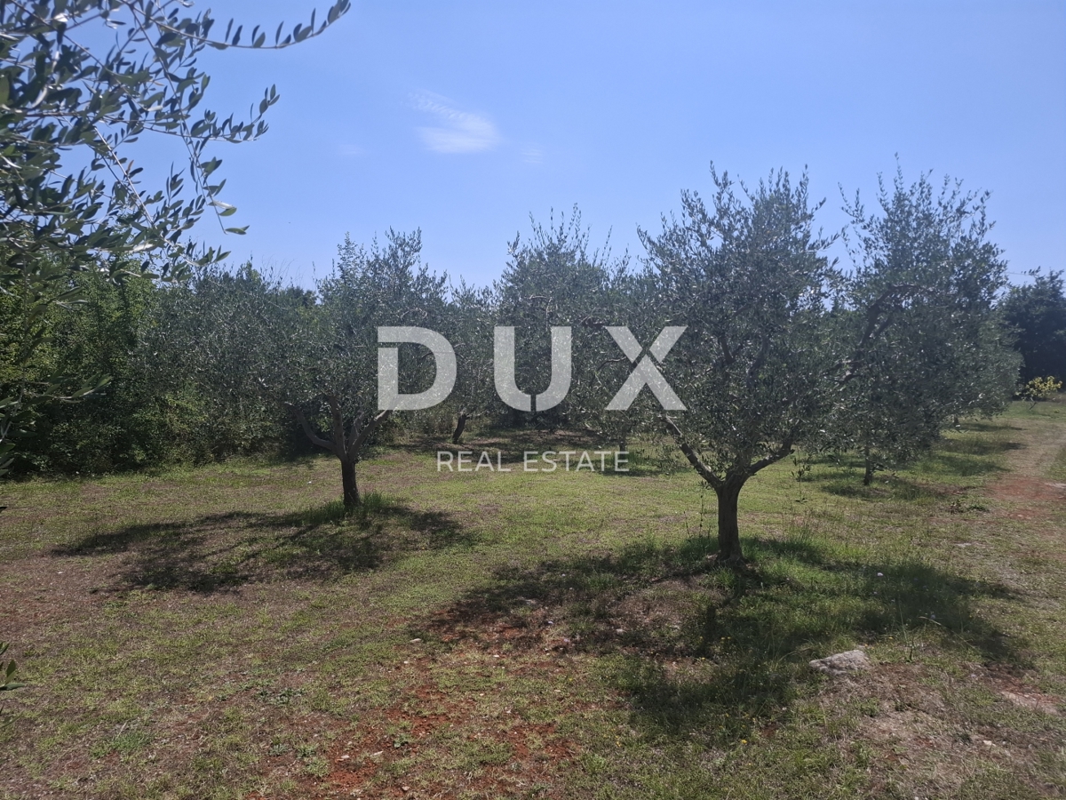 ISTRIA, FILIPPINE - terreno edificabile