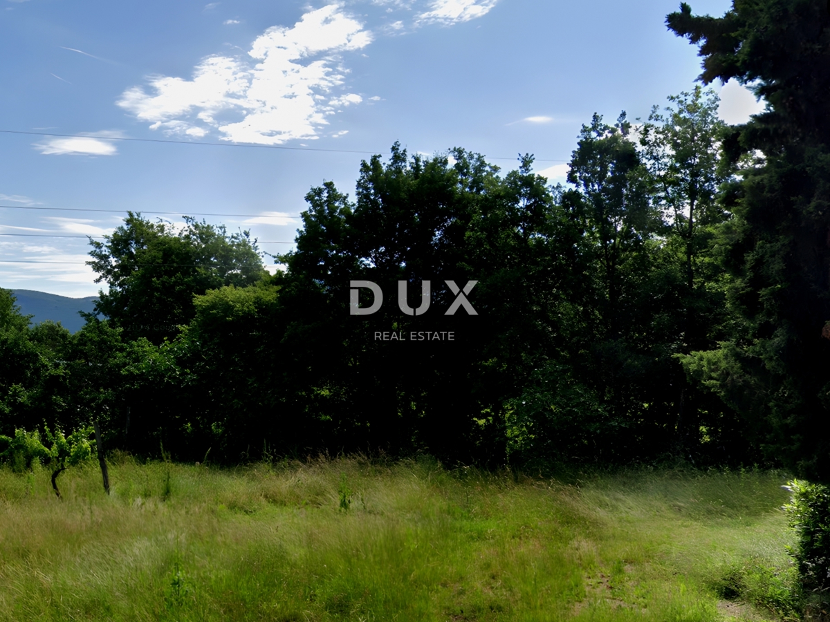 ISTRIA, ALBONA - Ampio terreno edificabile