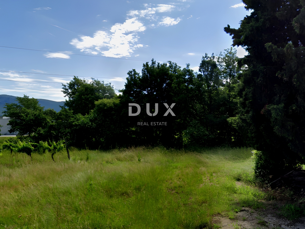 ISTRIA, ALBONA - Ampio terreno edificabile