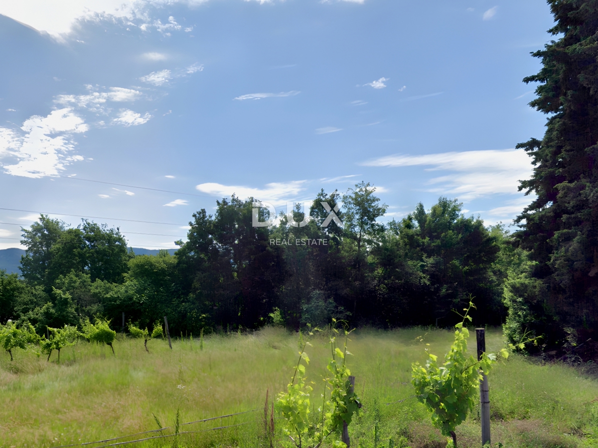 ISTRIA, ALBONA - Ampio terreno edificabile