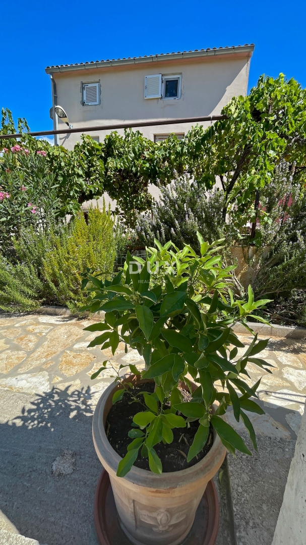 ISTRIA, MEDULIN - Casa in pietra d'Istria + Casa vacanze in ottima posizione