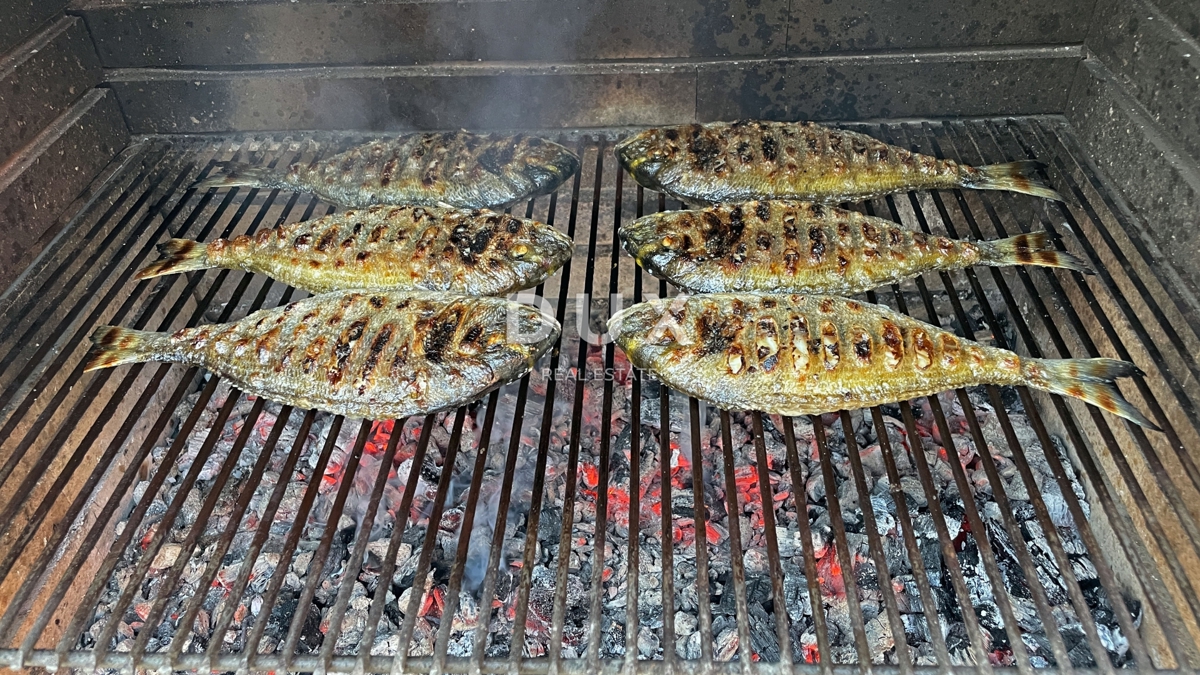 ISTRIA, MEDULIN - Casa in pietra d'Istria + Casa vacanze in ottima posizione