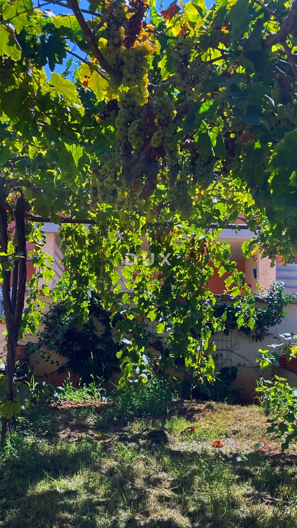 ISTRIA, MEDULIN - Casa in pietra d'Istria + Casa vacanze in ottima posizione