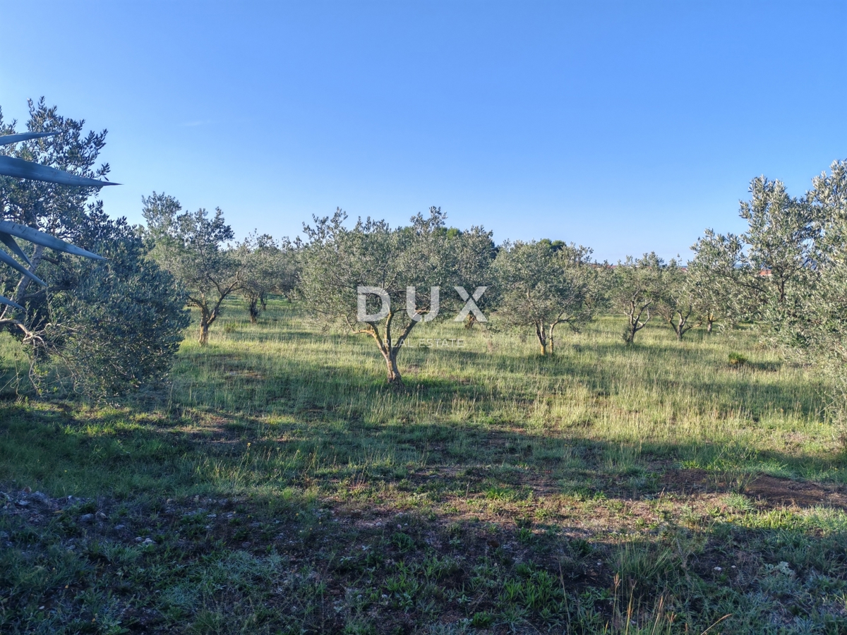 ZARA, CASE ROSSE - Terreno edificabile nella zona commerciale!