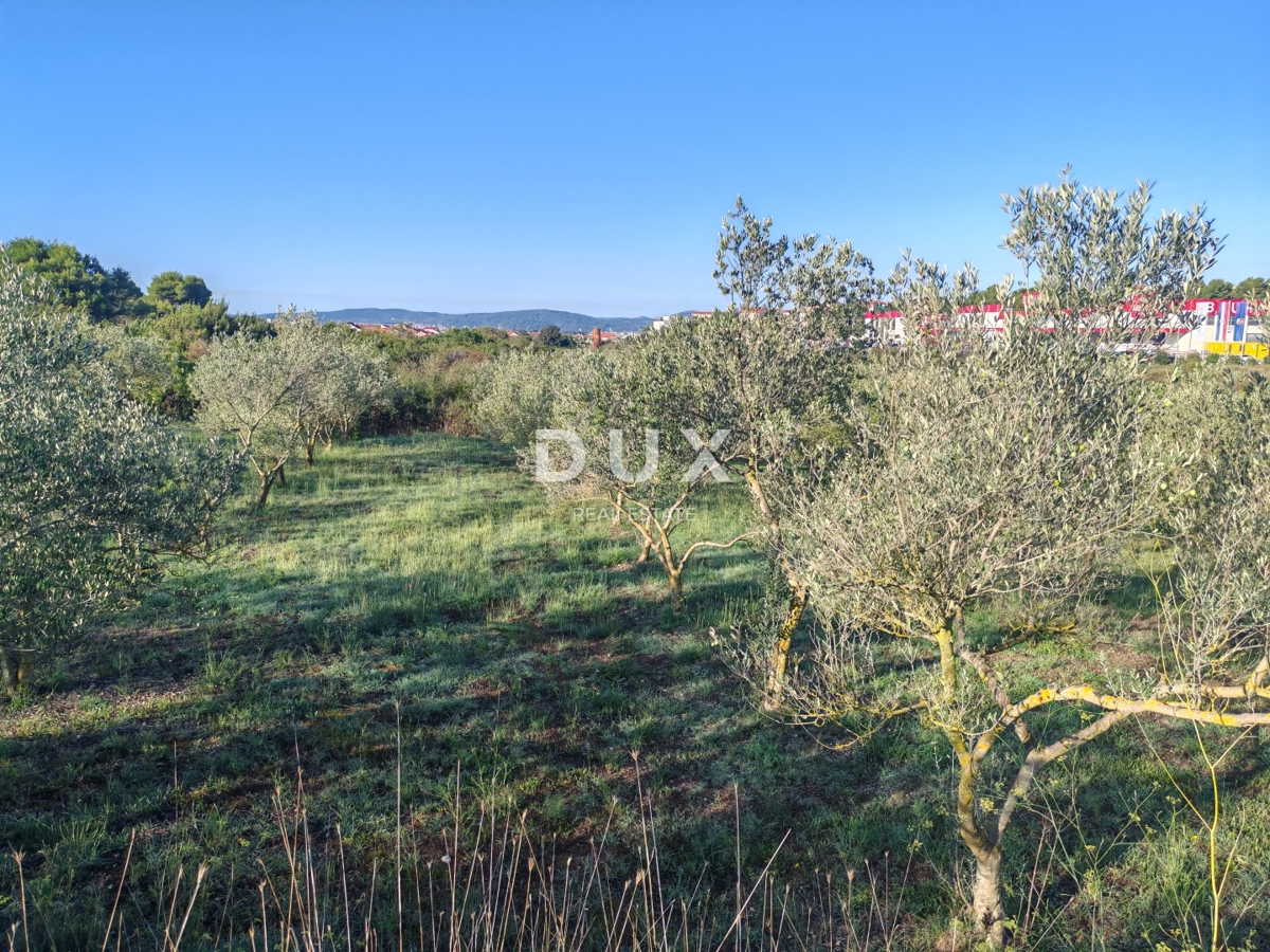 ZARA, CASE ROSSE - Terreno edificabile nella zona commerciale!