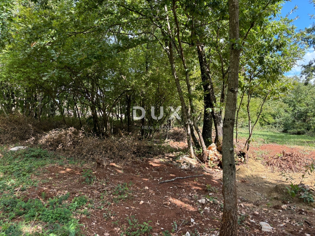 ISTRIA, GRAČIŠĆE (dintorni) - Terreno edificabile con vista sulla natura!
